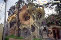 ������� �������� ��� ���� (�.��������)