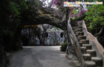 ������� �������� ��� ���� (�.��������)