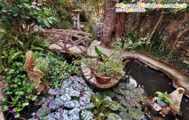 ������� �������� ��� ���� (�.��������)