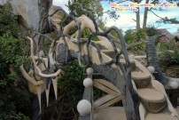 ������� �������� ��� ���� (�.��������)