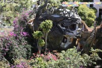 ������� �������� ��� ���� (�.��������)